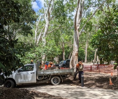Cooktown Botanic Gardens November update (4).jpg