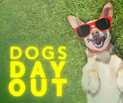 DOGS DAY OUT COOKTOWN