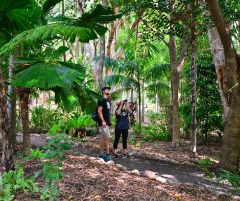 Cooktown Botanic Gardens Hiking