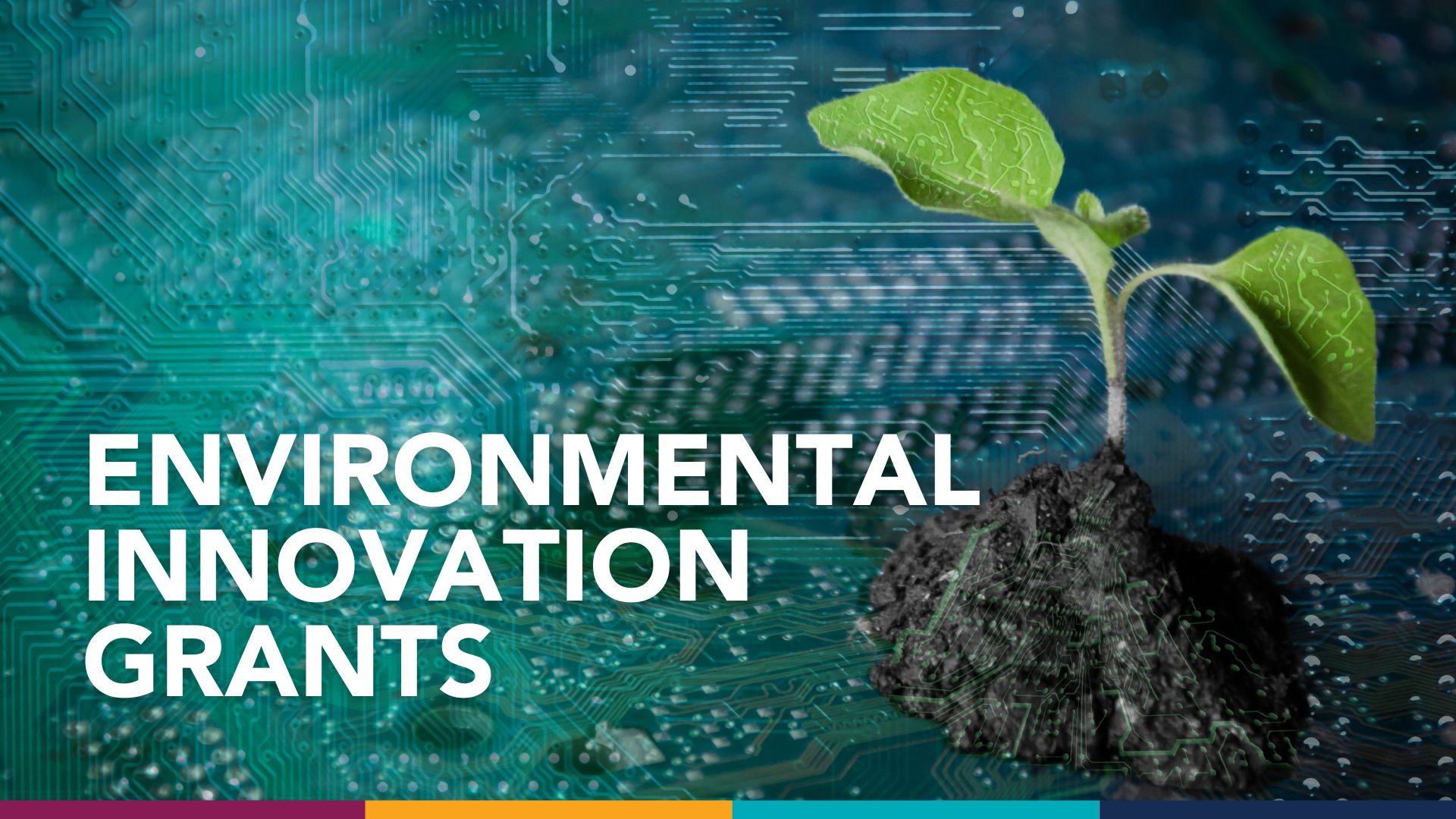 Environmental Innovation Grants