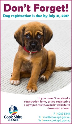 Cape York News July 26 2017 dog animal registration renewal.jpg