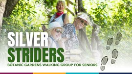 Enjoy Nature, Forge Friendships and Boost your health with Silver Striders