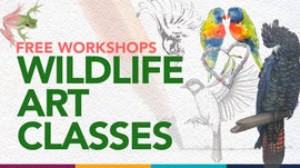 Free Wildlife Art Workshop Series 