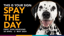Spay the Day with Free Dog desexing this April-May
