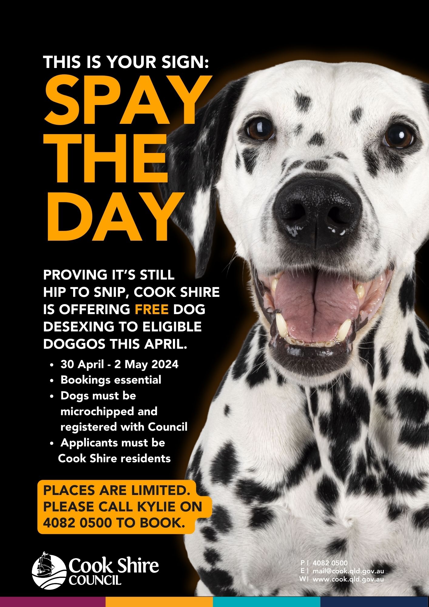 Spay the Day Free dog desexing