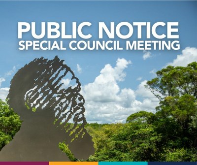Public Notice special meeting banner