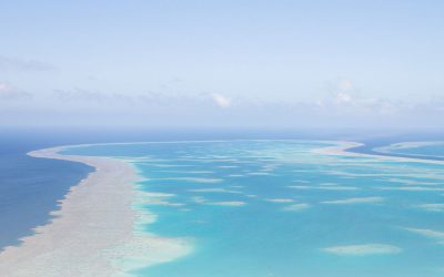 Cook Shire unlocks $920k in funding to help protect the Great Barrier Reef