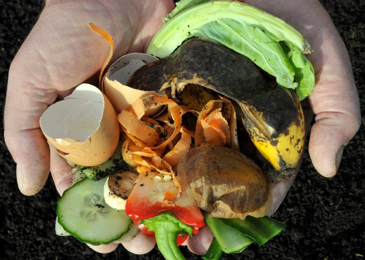 Composting and Mulching