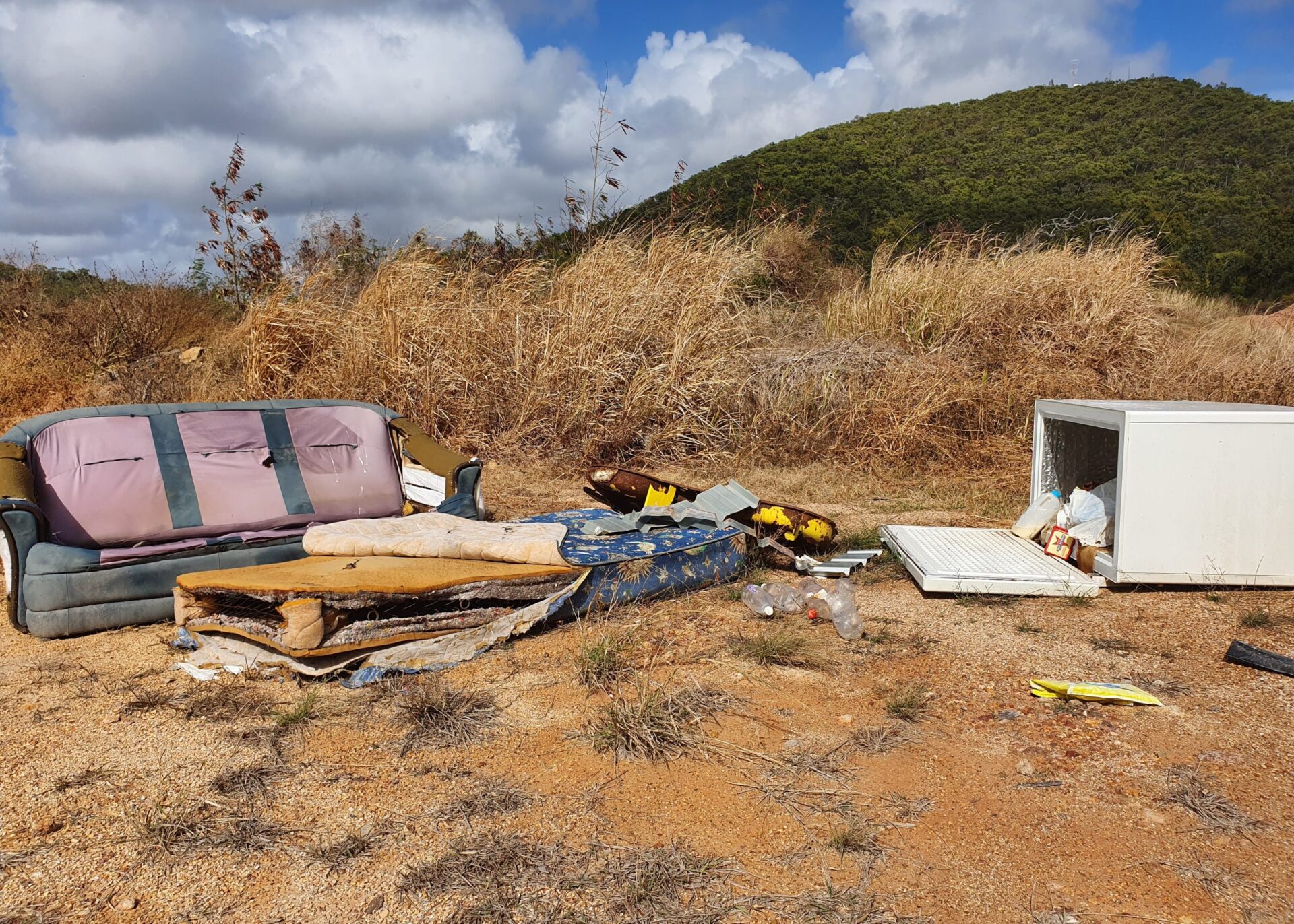 Littering and Illegal Dumping