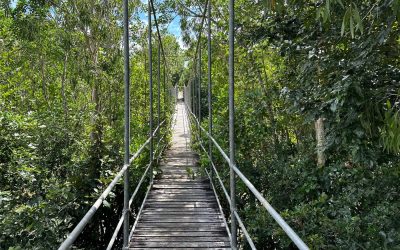 Works Notification: Marton Swing Bridge