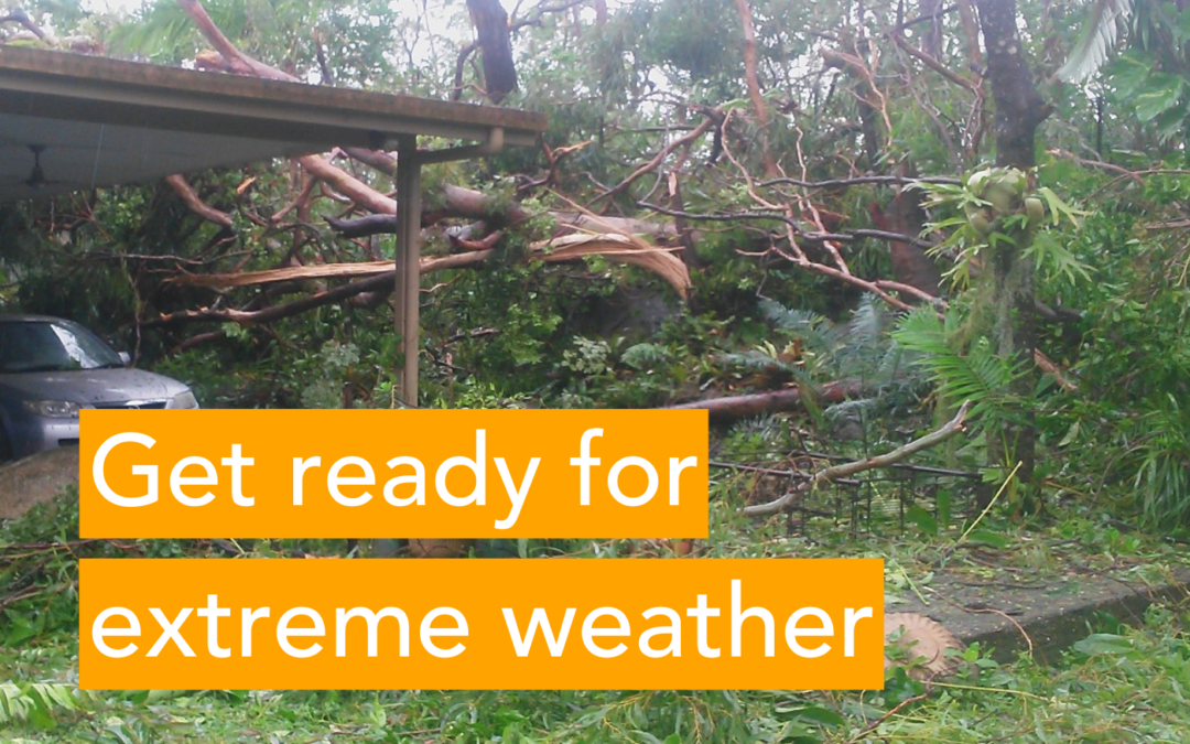 Free* dumping starts this weekend!