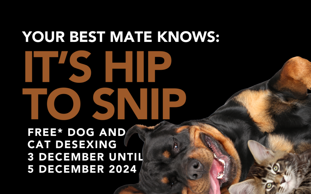 Free* Pet Desexing Clinic coming to Cooktown