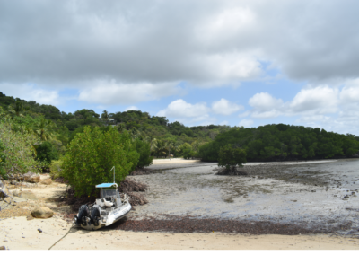 Sandy shore of Portland Road's with lush green mangroves in the background and a boat in the foreground