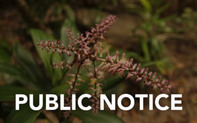 Temporary office closure