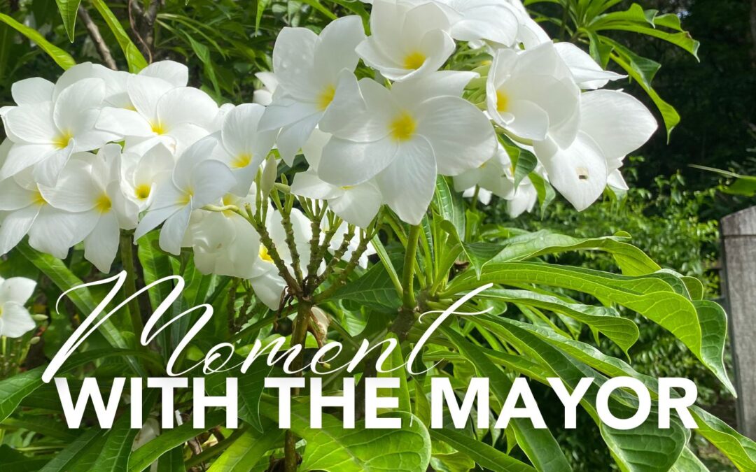 December Moment with the Mayor