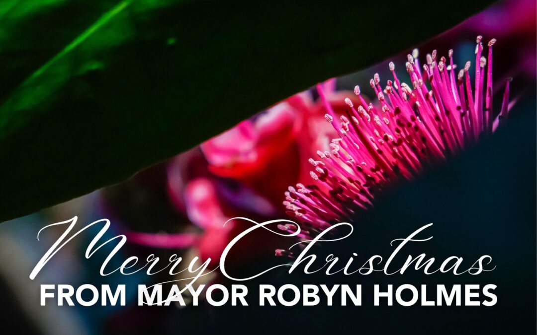 Merry Christmas from Mayor Robyn Holmes