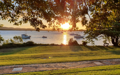 Celebrating Excellence: Nominees Announced for 2025 Australia Day Awards