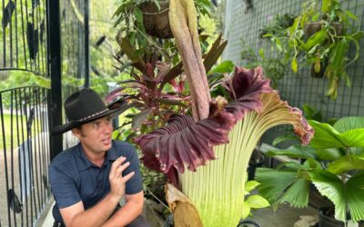 Botanic Gardens Week 2025: Celebrating conservation efforts for 10th anniversary