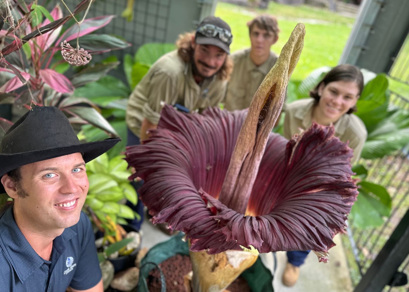 Curator of Cooktown Botanic Gardens, Nikko Menzel, and the dedicated Gardens crew—Mark Mitchell, Angus Snell, and Dayhahnera Hutchinson