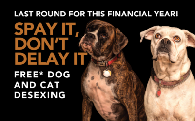 Spay it, don’t delay It: Free dog and cat desexing clinic for Cook Shire residents