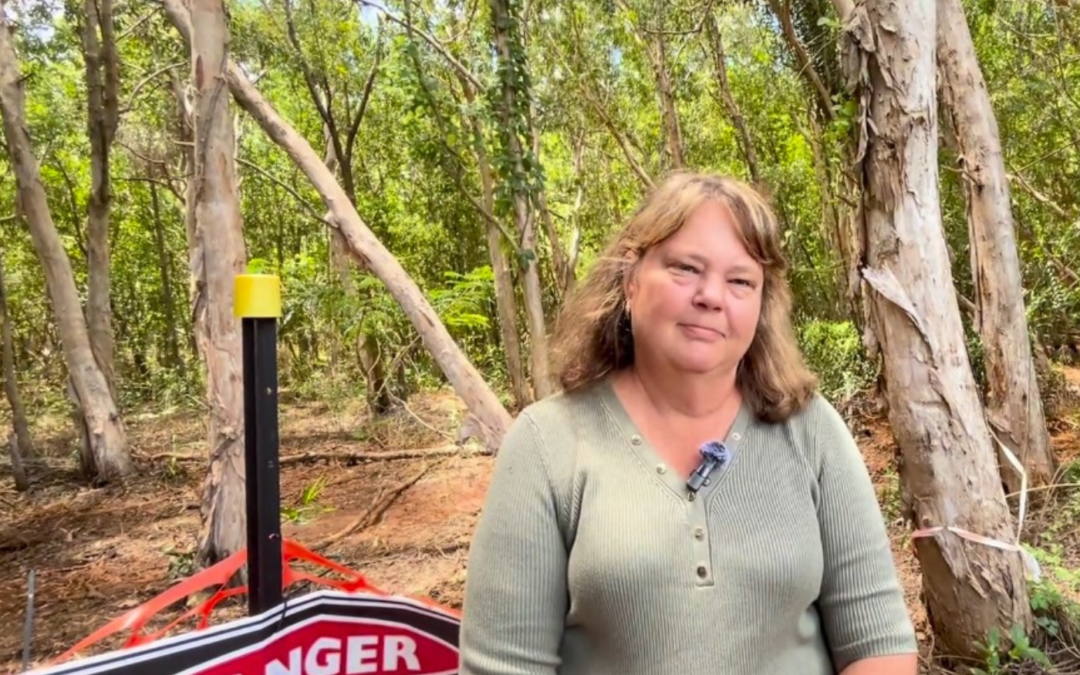 Update on the Boardwalk project