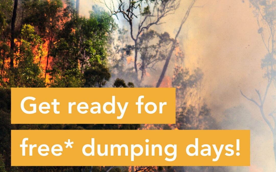 Get ready: Free dumping days are back!