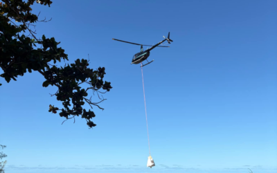 Clean-up complete: Post- cyclone Jasper at Cedar and Weary Bay