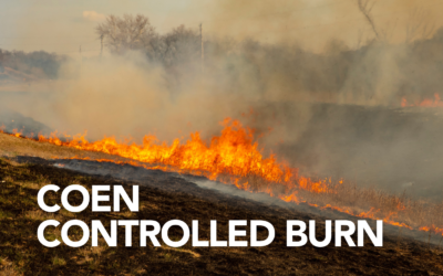 Coen Controlled Burn
