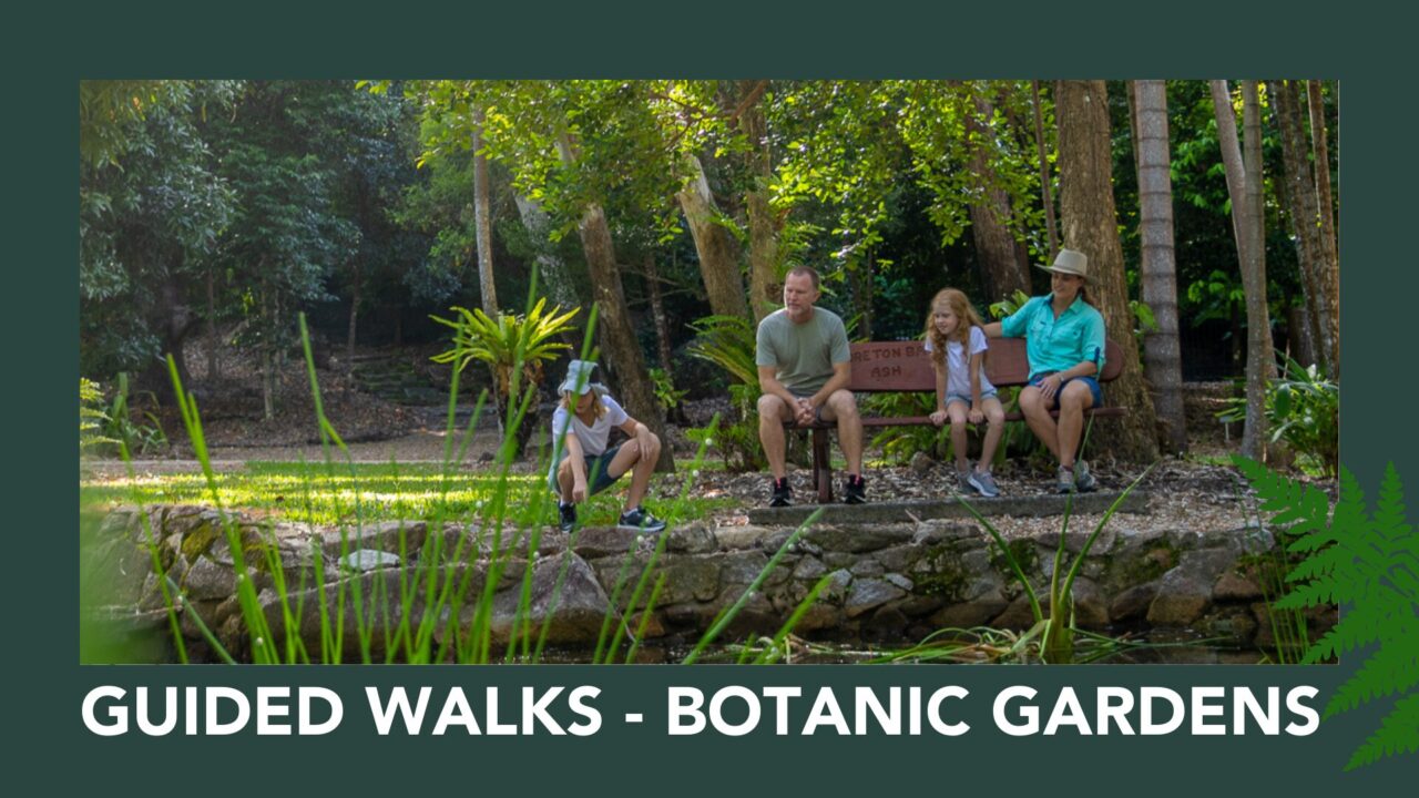 Cook Walk Guided Walk - Cooktown Botanic Gardens - Cook Shire Council