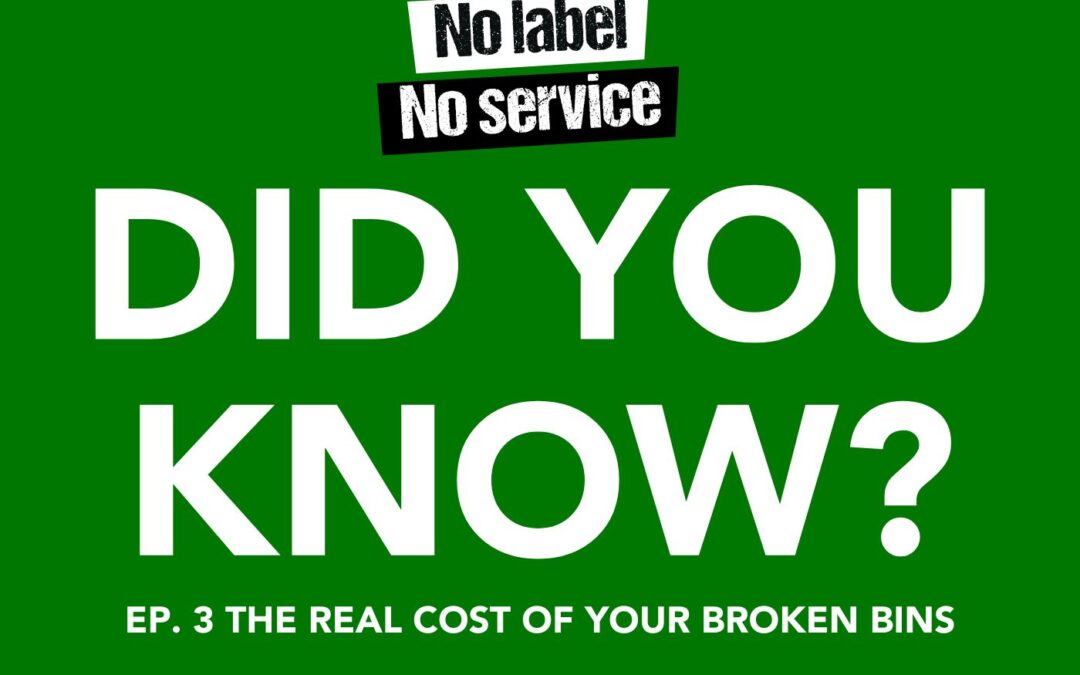 The Real Cost of Waste Management: Bin Maintenance Responsibilities