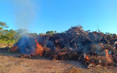 Public Notice: Burning at Mt Tully