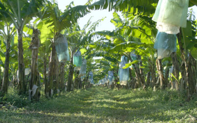 Funding Secured to Plan for Growth in Lakeland