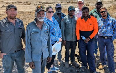 Strengthening Biosecurity Across South-West Cape York