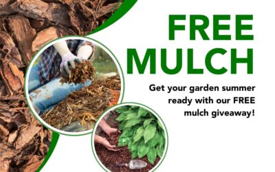 Free mulch giveaway is back to help gardens thrive this summer