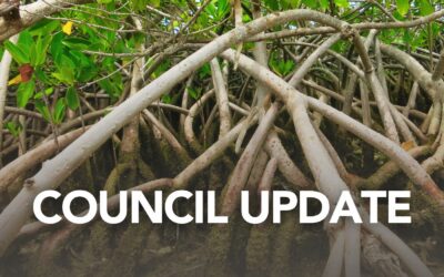 Rail Trail Boardwalk