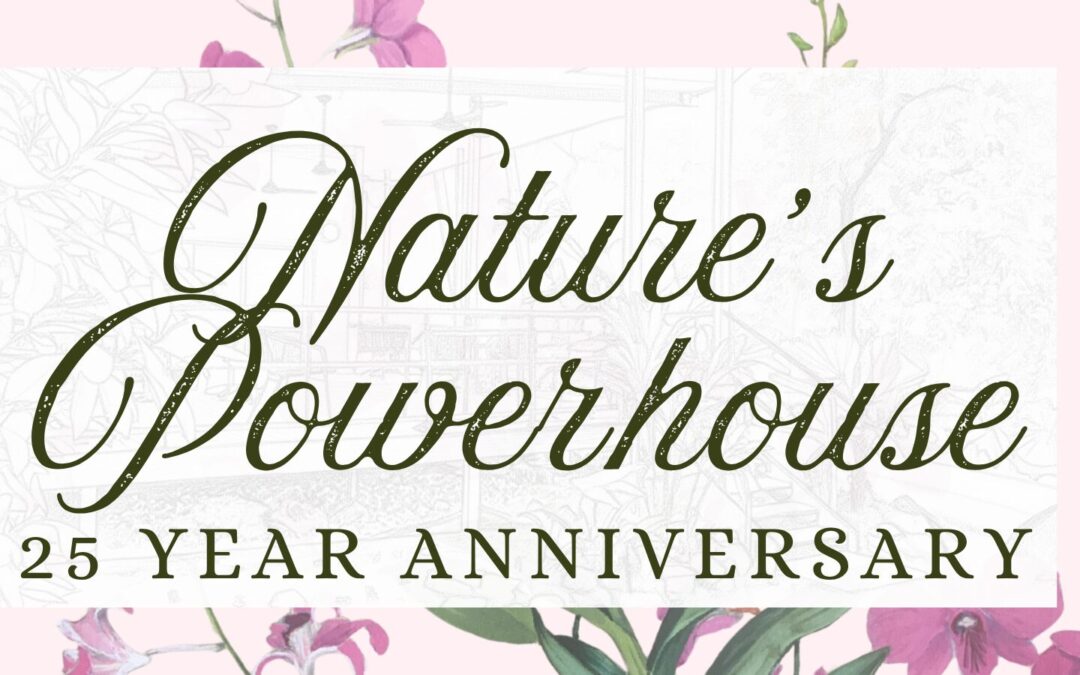 Nature’s Powerhouse celebrates 25 years of art, culture and community