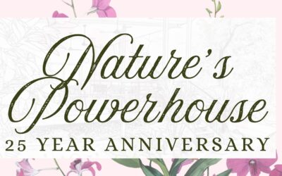 Nature’s Powerhouse celebrates 25 years of art, culture and community