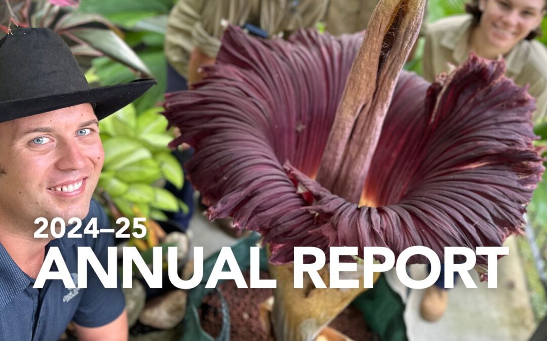 Council adopts 2024–25 Annual Report