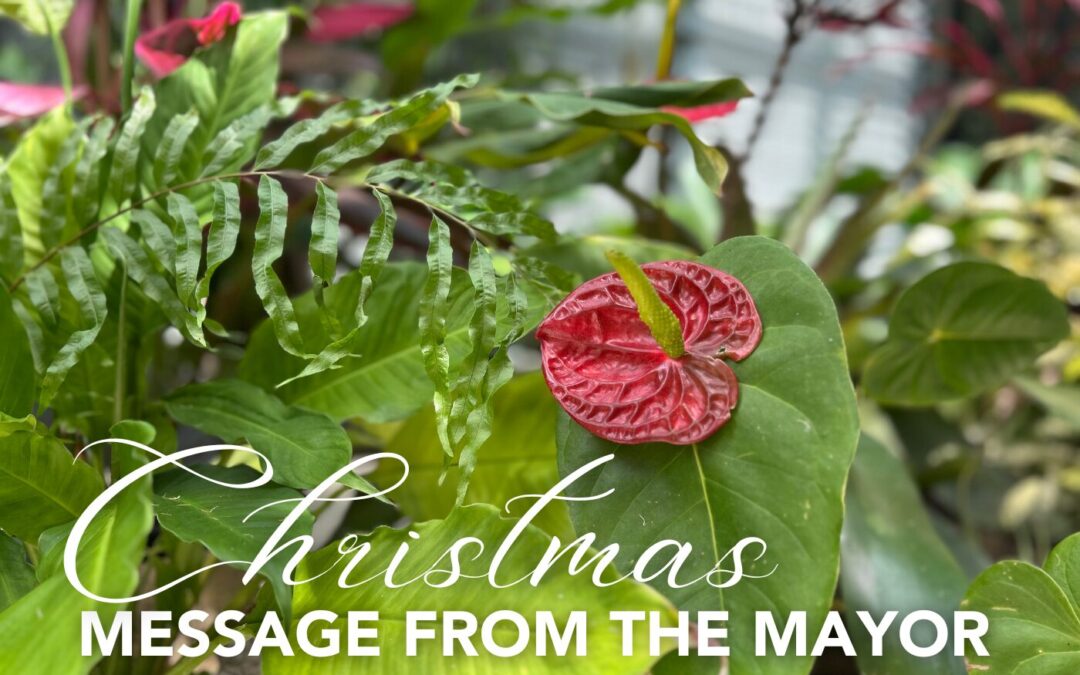 Cook Shire Mayor, Robyn Holmes shares Christmas message