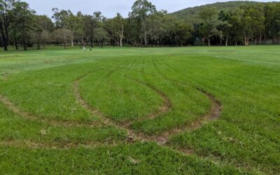 Vandalism at multiple Cooktown locations – Council seeks information