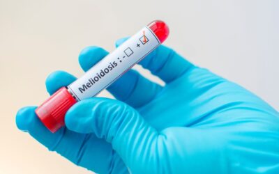 Wet season reminder: Protect yourself against melioidosis