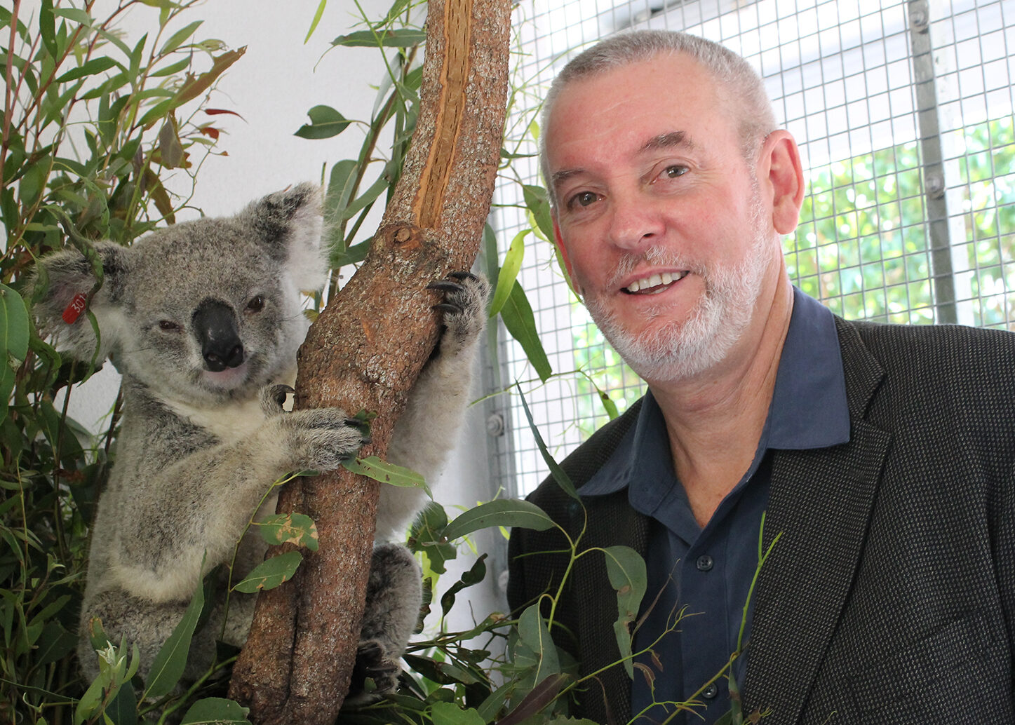 Image of Cook Shire Council 2026 Australia Day Ambassador, Professor Peter Timms with a koala