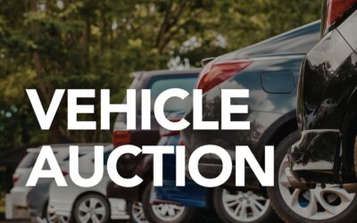 Vehicle Auction