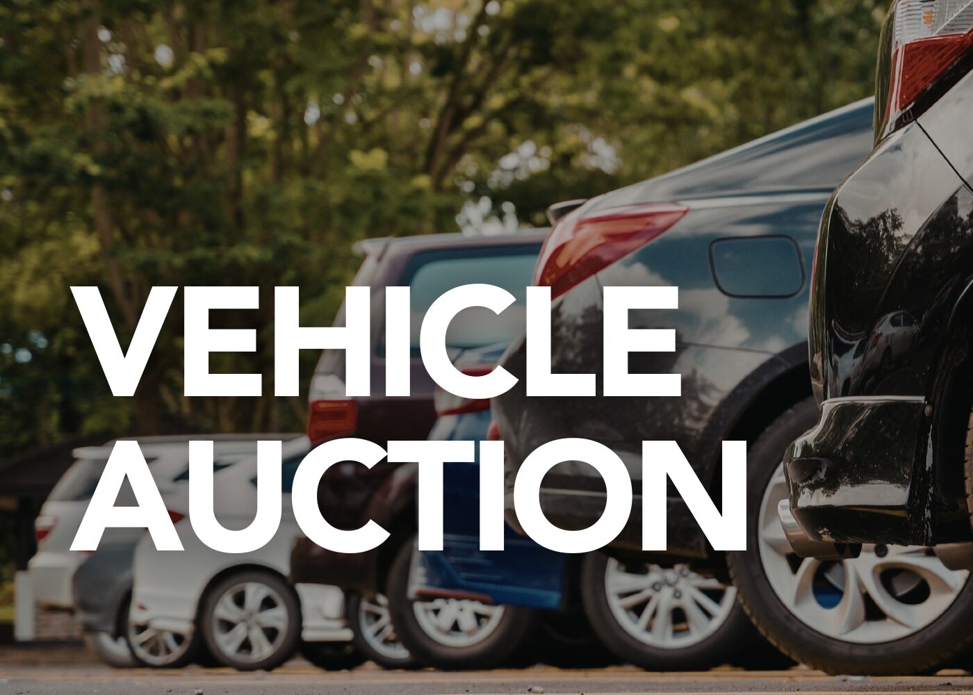 Vehicle Auction Vehicle Auction