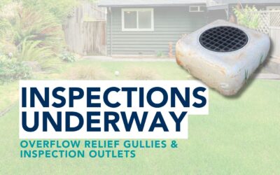 Council inspections on ORGs and IOs underway