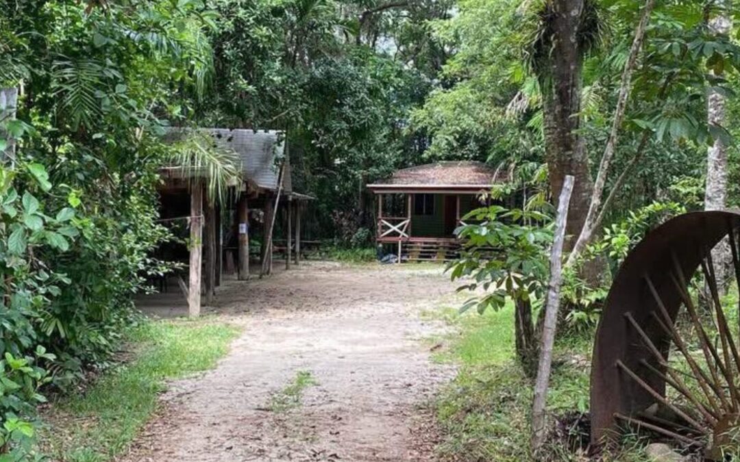 Budget roadshow to Rossville markets cancelled