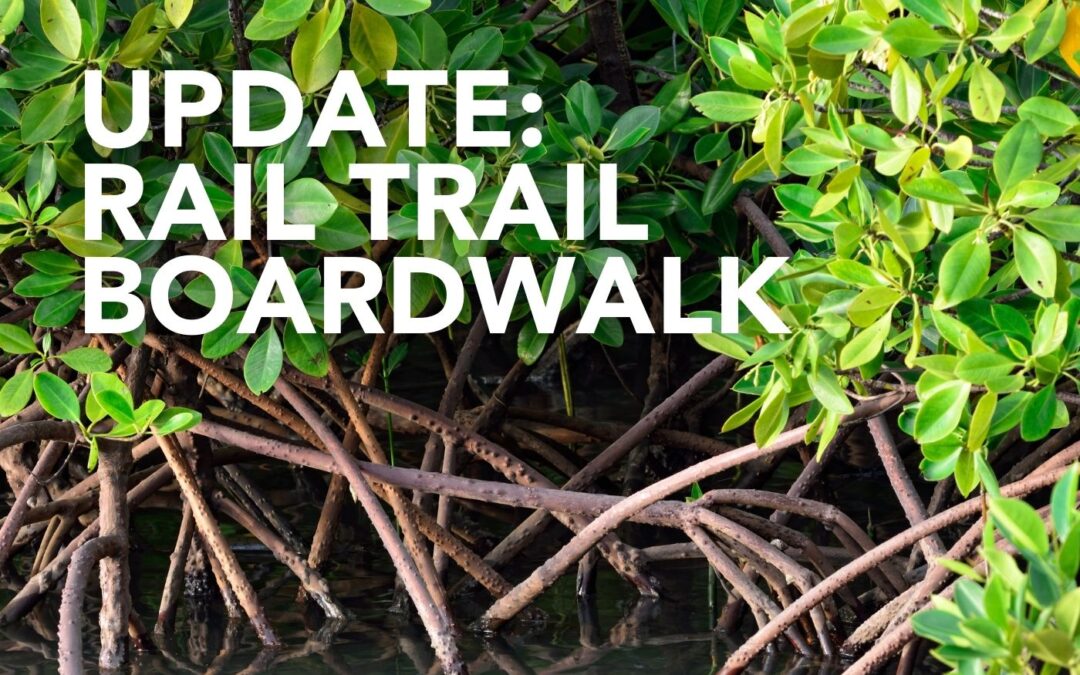 What happened, what happens next and how much is it going to cost?