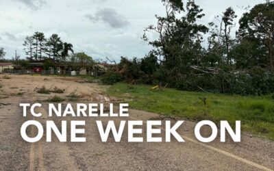 TC Narelle: The Road to Recovery