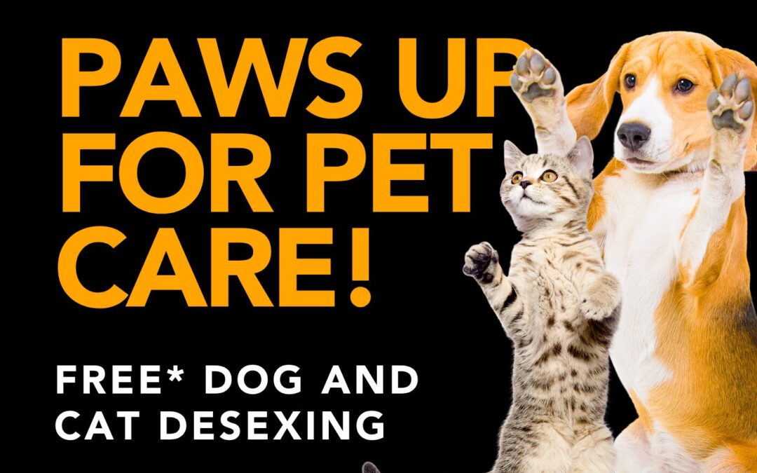 Free dog and cat desexing clinic coming to Cooktown