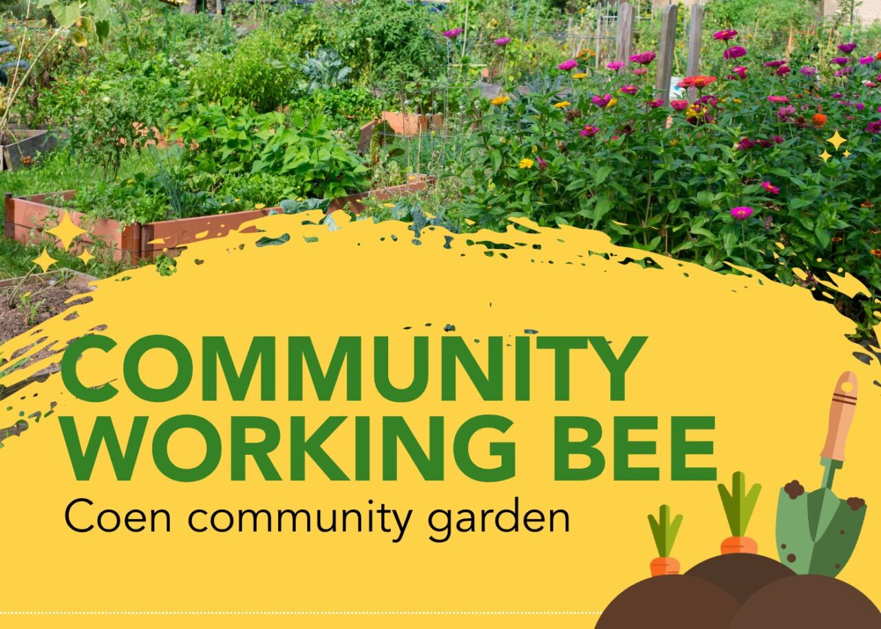 Coen community invited to roll up their sleeves at working bee - Cook ...